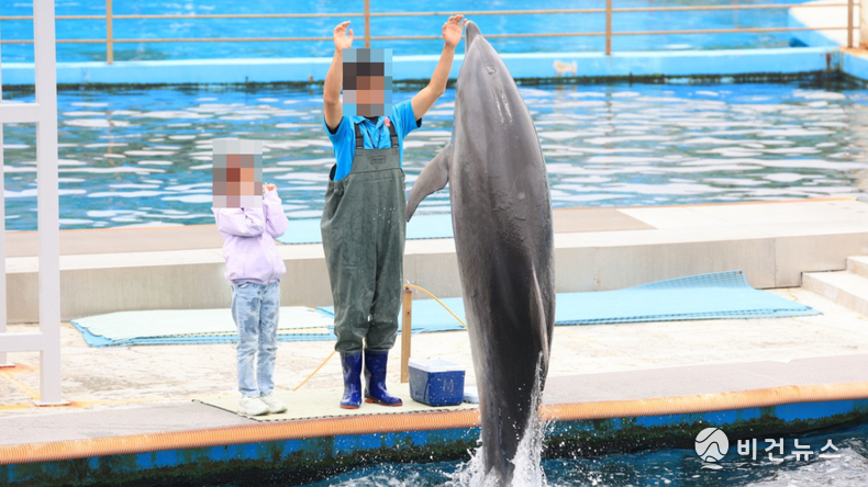 (사진=핫핑크돌핀스 페이스북 갈무리)