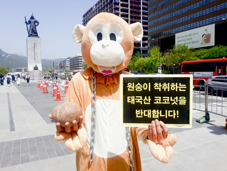 (사진=한국동물보호연합 제공)