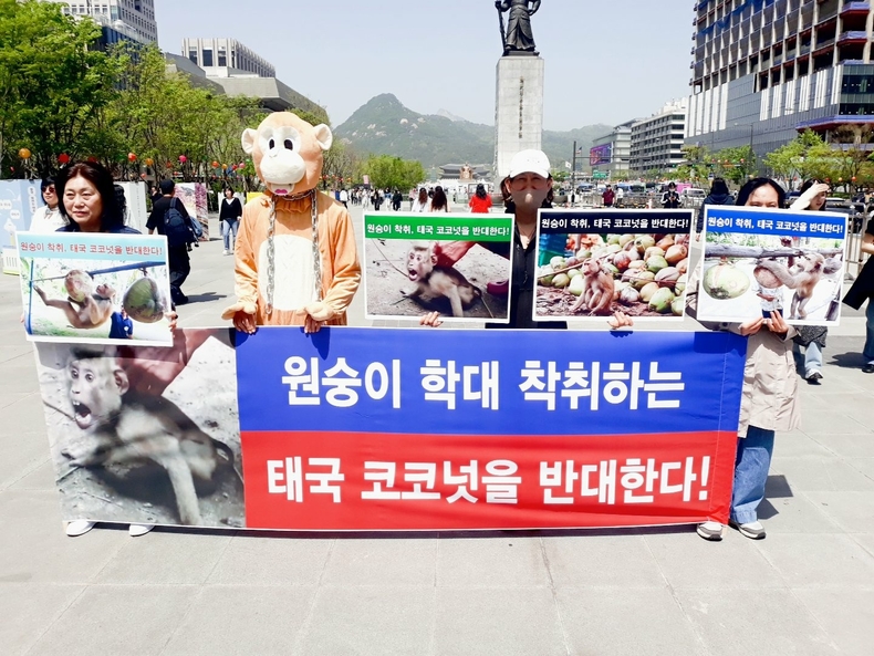 (사진=한국동물보호연합 제공)