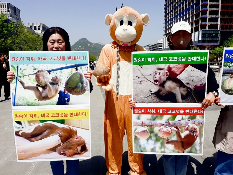 (사진=한국동물보호연합 제공)