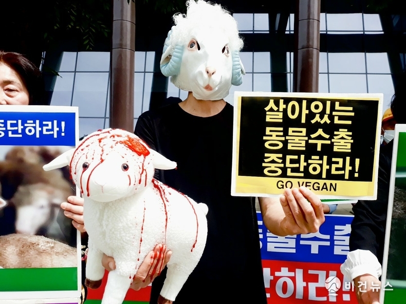 (사진=한국동물보호연합 제공)