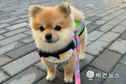 (사진=정원오 성동구청장 엑스 갈무리)