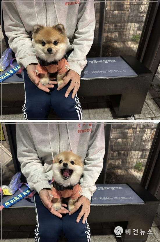 (사진=정원오 성동구청장 엑스 갈무리)