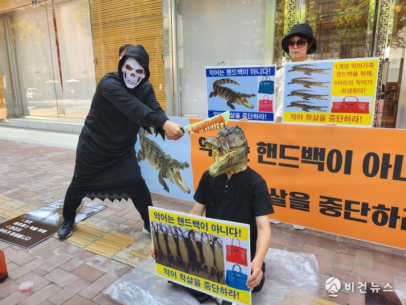 (사진=한국동물보호연합 제공)