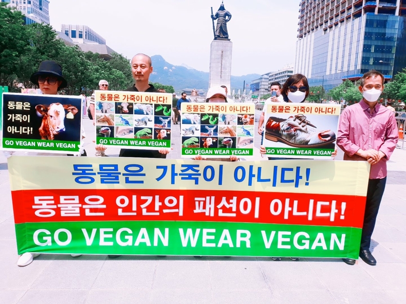 (사진=한국동물보호연합 제공)