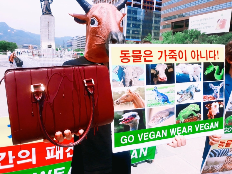 (사진=한국동물보호연합 제공)