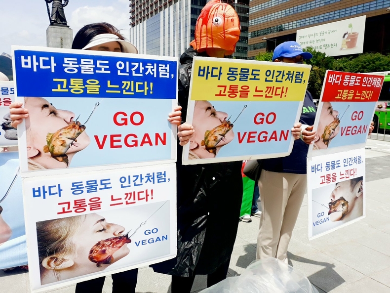 (사진=한국동물보호연합 제공)