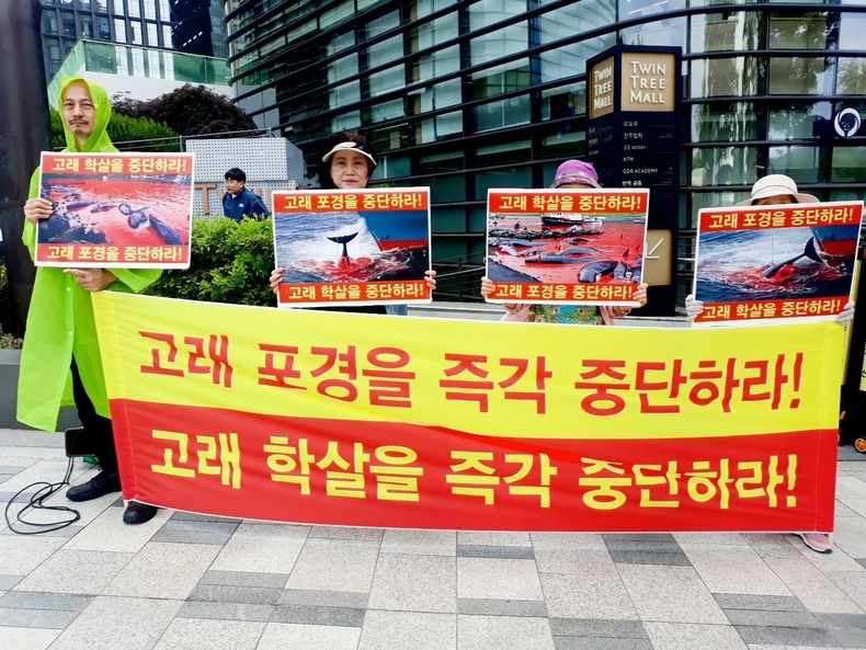 (사진=한국동물보호연합 제공)