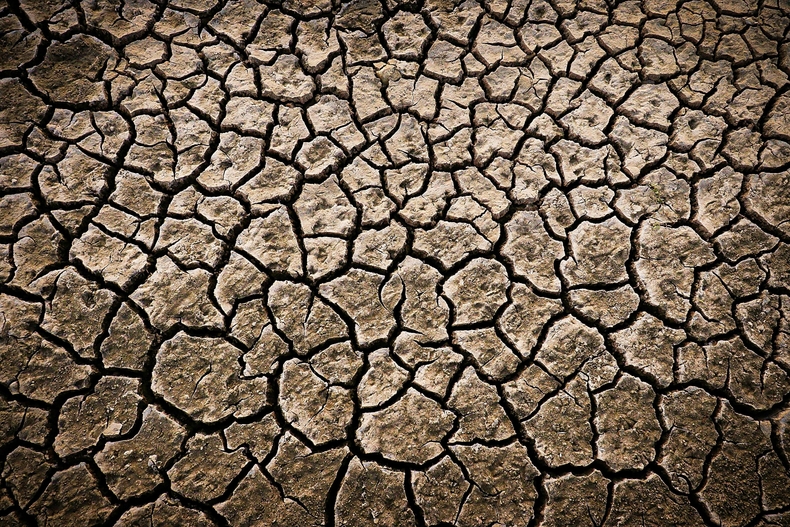 지난해 폭염이 평균 1달 더 지속됐따는 보고가 나왔다. (사진=unsplash)