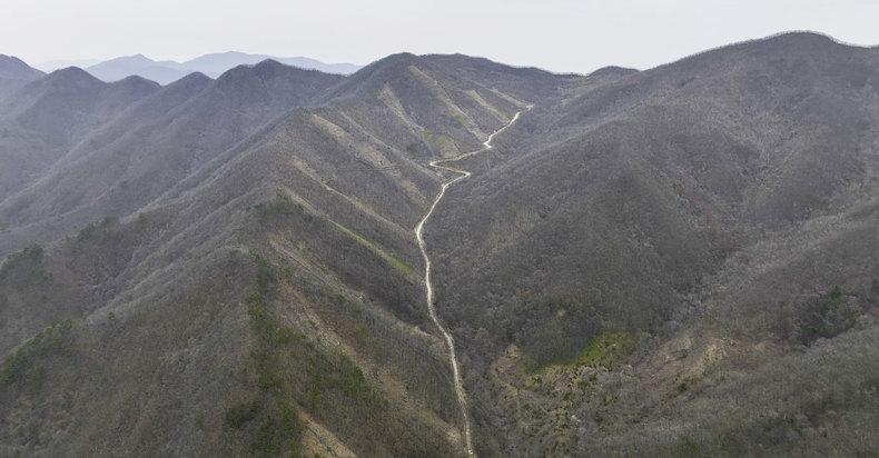 민주지산 백두대간 보호지역 내 개발된 ‘선도 산림경영단지 숲가꾸기 시범사업 입지’ 중앙 왼편에 경제림이 개발된 모습이 오른편의 천연림과 대조를 이루고 있다. (사진=그린피스 제공)