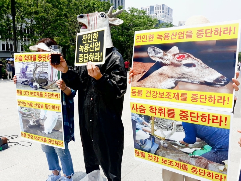 (사진=한국동물보호연합 제공)
