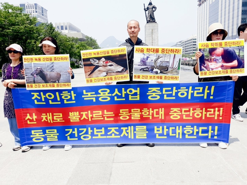 (사진=한국동물보호연합 제공)