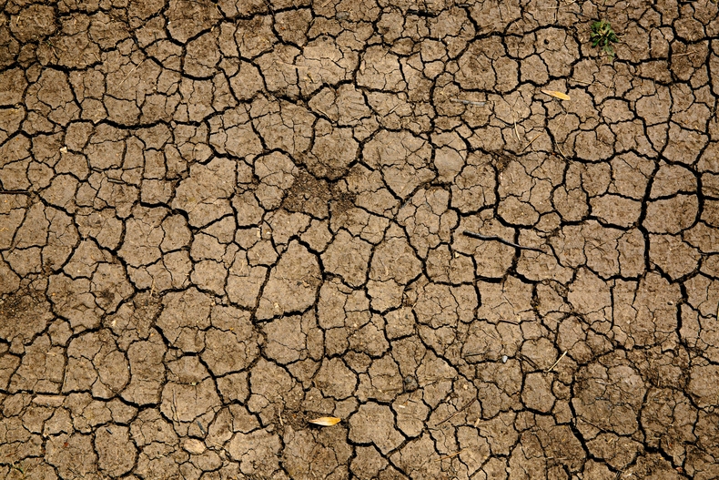 지구 온도가 12개월 연속으로 역대 가장 높은 기온을 경신하고 있다는 보고가 나왔다. (사진=unsplash)