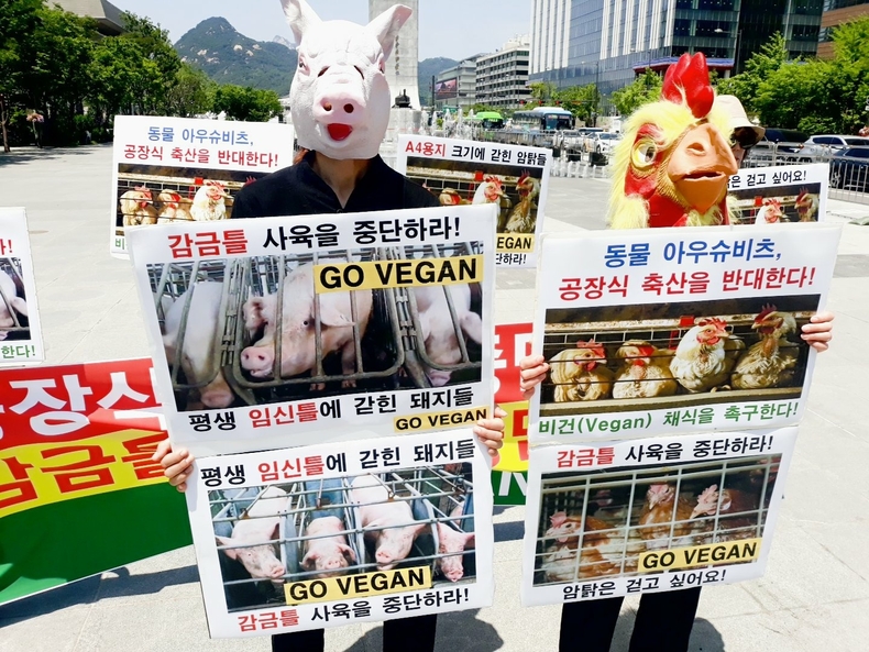 (사진=한국동물보호연합 제공)