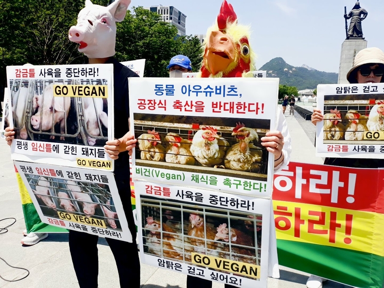 (사진=한국동물보호연합 제공)