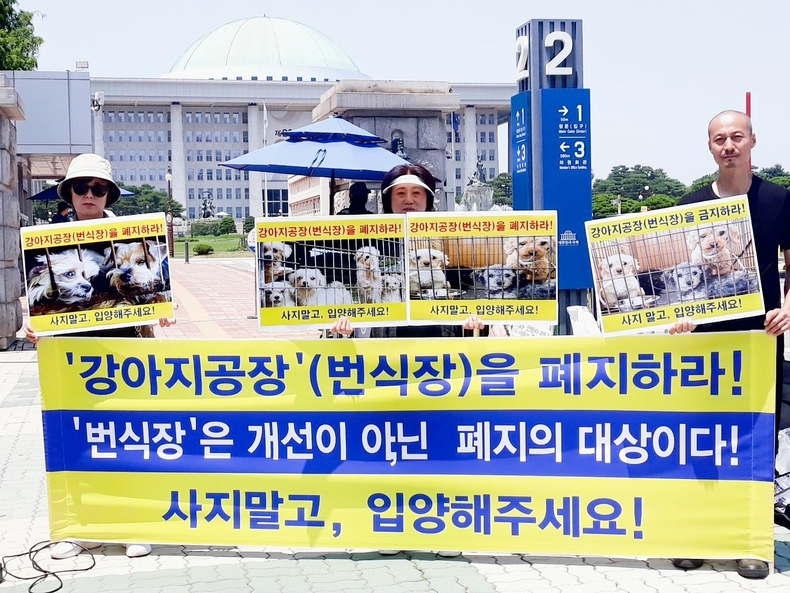 (사진=한국동물보호연합 제공)