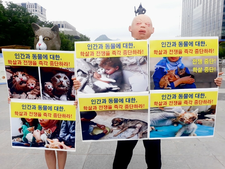 (사진=한국동물보호연합 제공)