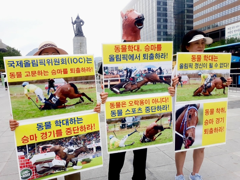 (사진=한국동물보호연합 제공)