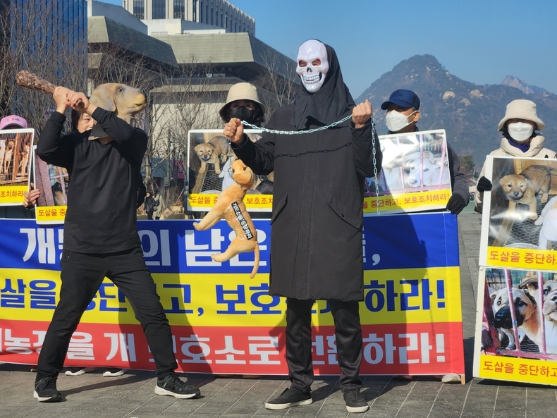오늘부터 '개식용종식법' 시행령안이 시행된다. (사진=한국동물보호연합 제공)