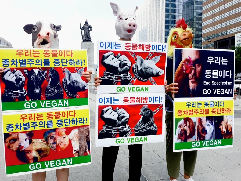 (사진=한국동물보호연합 제공)