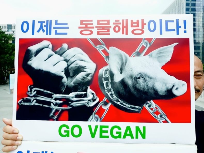 (사진=한국동물보호연합 제공)