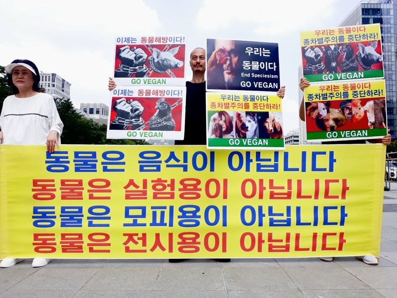 (사진=한국동물보호연합 제공)