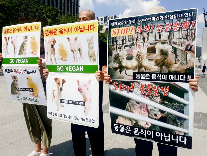 (사진=한국동물보호연합 제공)