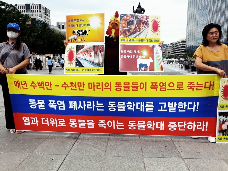 (사진=한국동물보호연합 제공)