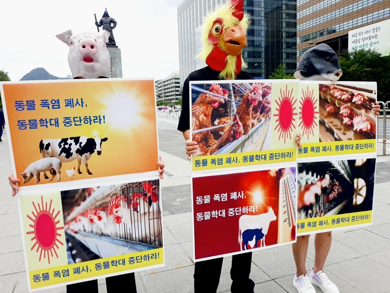 (사진=한국동물보호연합 제공)