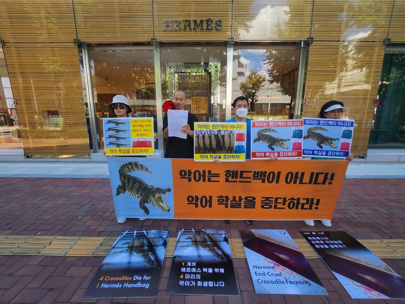 (사진=한국동물보호연합 제공)