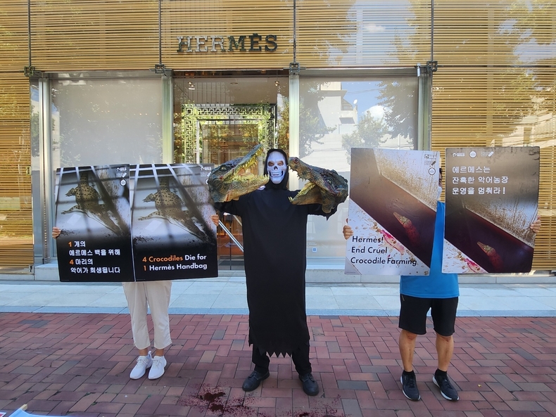 (사진=한국동물보호연합 제공)
