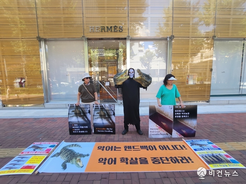 (사진=한국동물보호연합 제공)