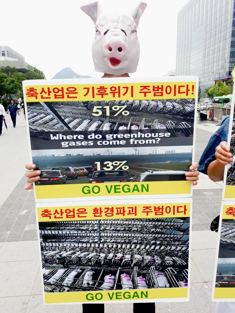 (사진=한국채식연합 제공)