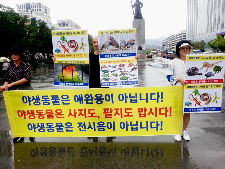 (사진=한국동물보호연합 제공)