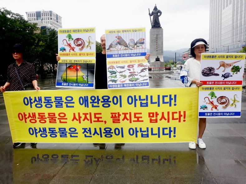 (사진=한국동물보호연합 제공)