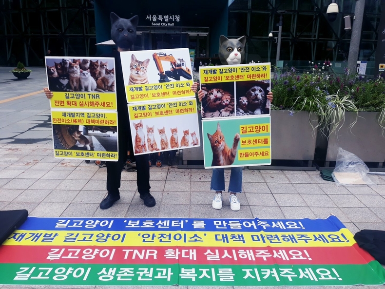 (사진=한국동물보호연합 제공)