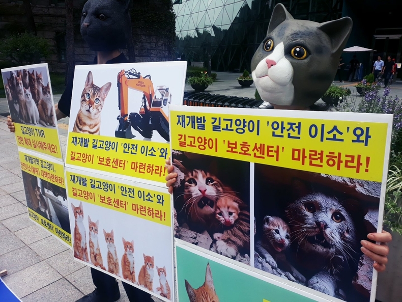 (사진=한국동물보호연합 제공)