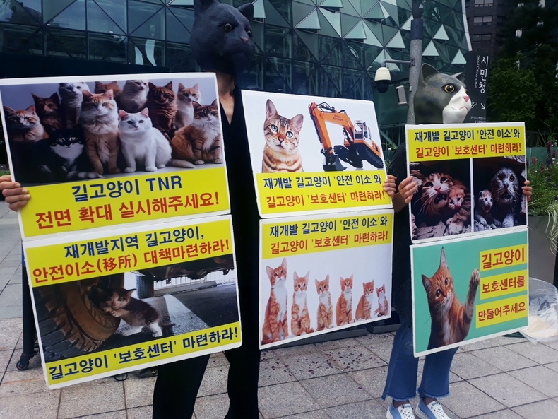 (사진=한국동물보호연합 제공)