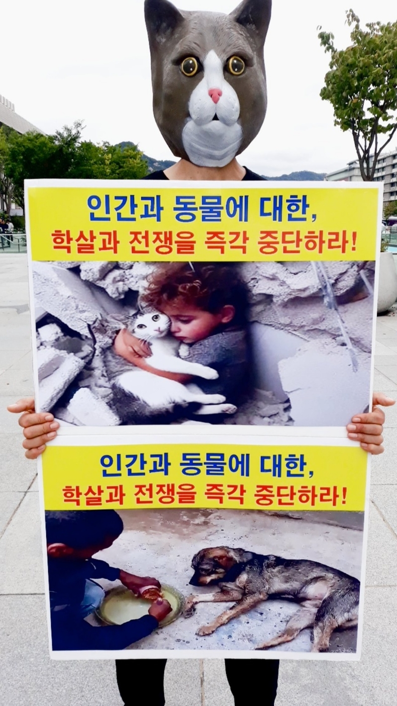 (사진=한국동물보호연합 제공)