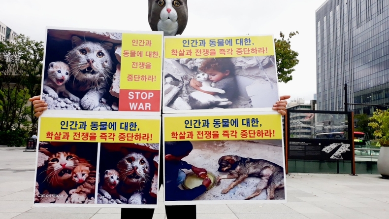 (사진=한국동물보호연합 제공)