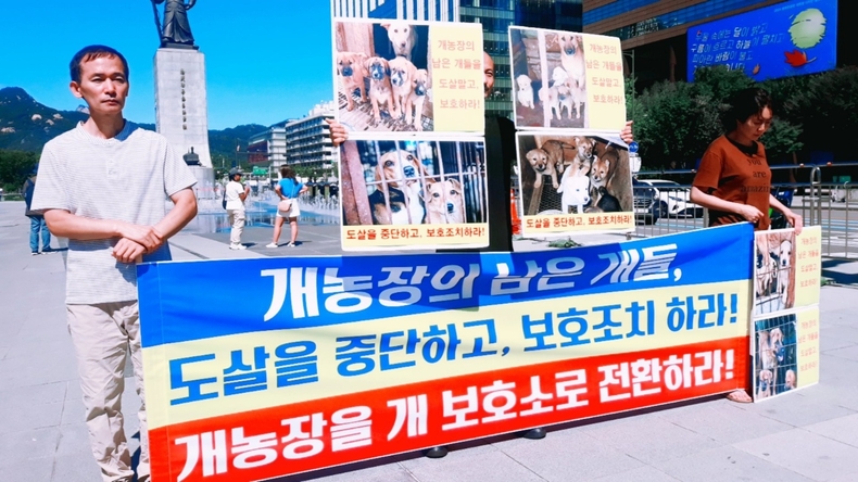 (사진=한국동물보호연합 제공)