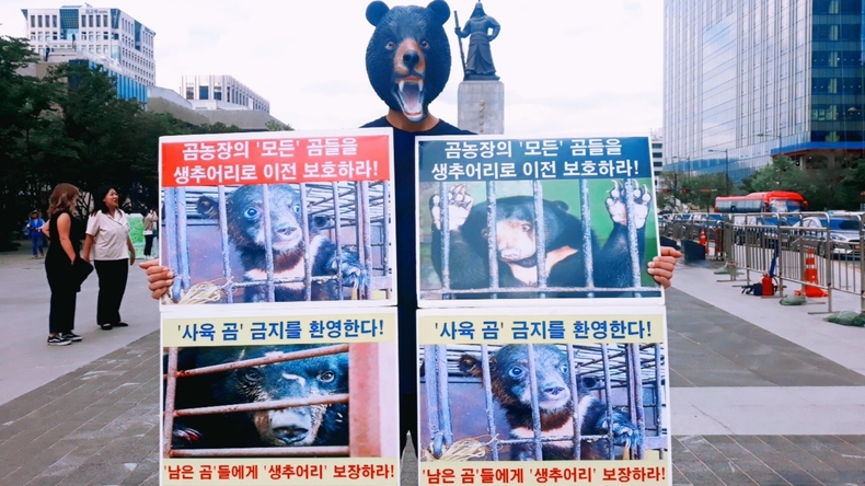 (사진=한국동물보호연합 제공)