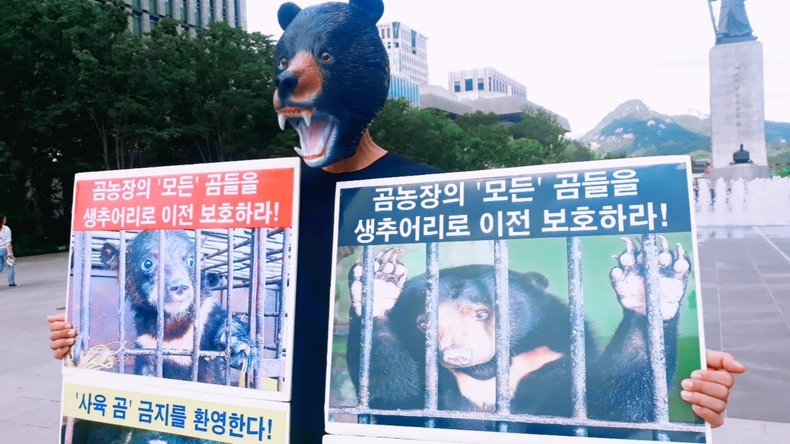 (사진=한국동물보호연합 제공)