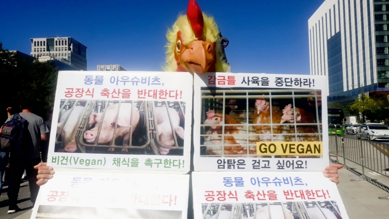 (사진=한국채식연합 제공)