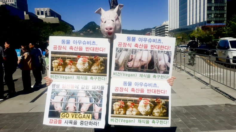 (사진=한국채식연합 제공)