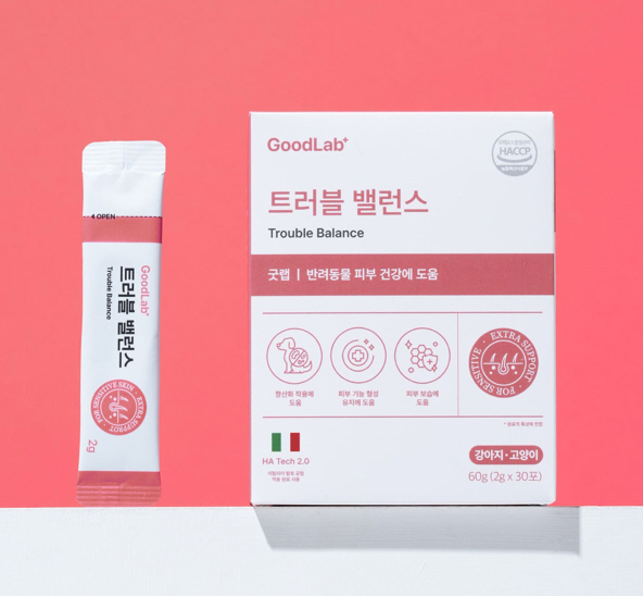 (사진=펫펫펫 제공)