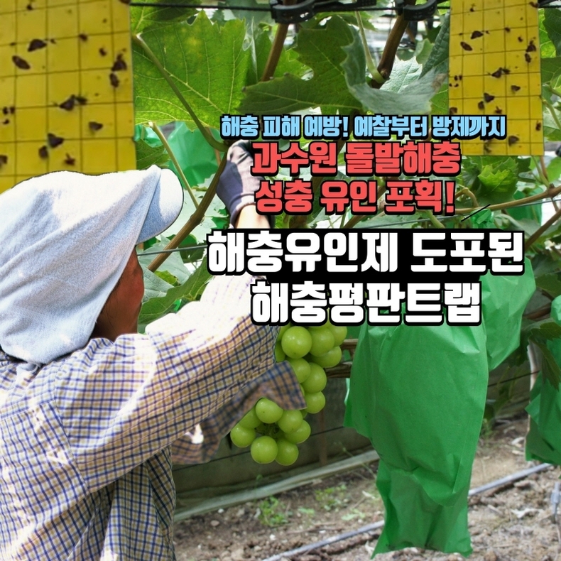 (사진=와이앤바이오 제공)