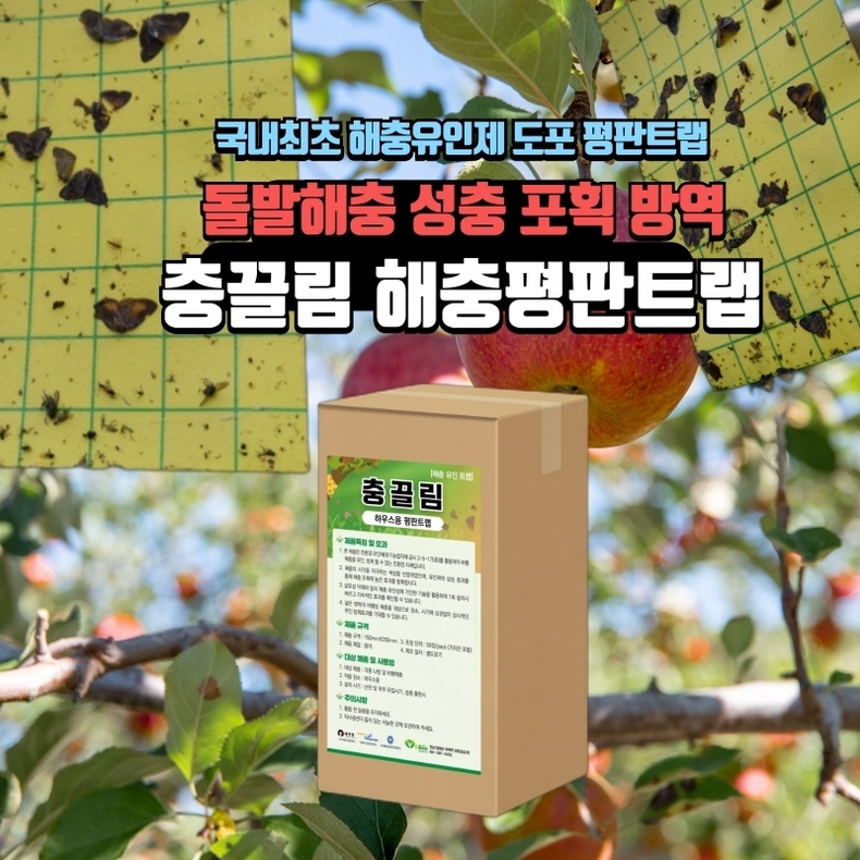 (사진=와이앤바이오 제공)