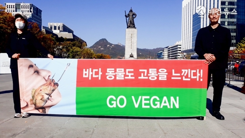 (사진=한국동물보호연합 제공)