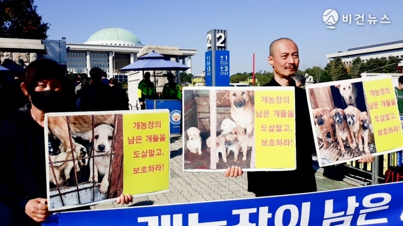 (사진=한국동물보호연합 제공)